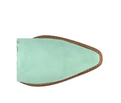 Women's Dingo Boot Star Power Western Boots